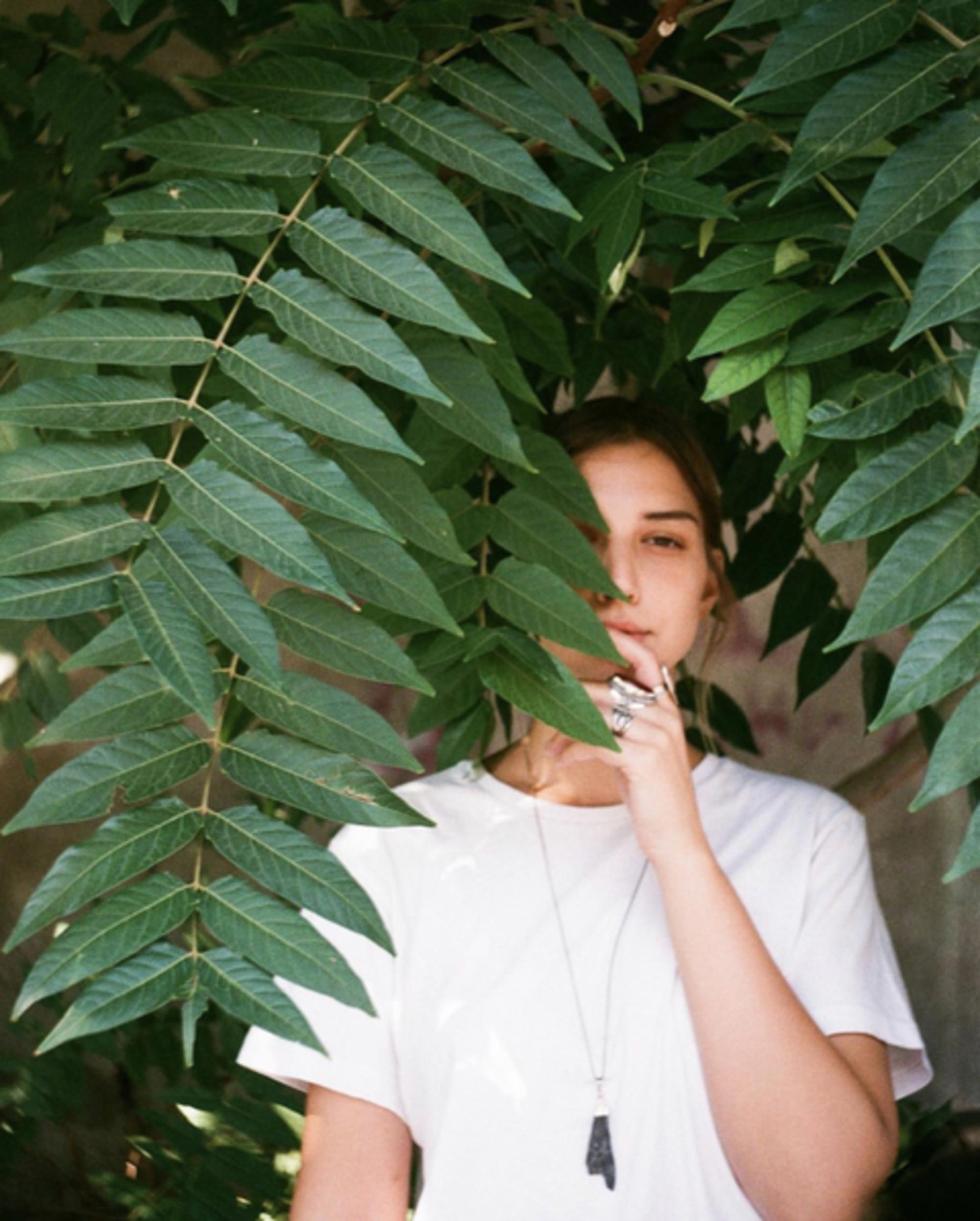 Canela en Surco 1611